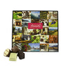 Taste of NZ Chocolate Box